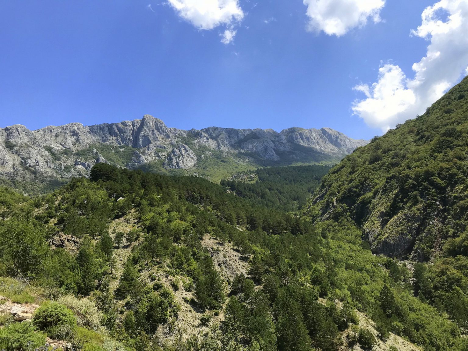 IMG_2618-jp82lyyk-1536×1152